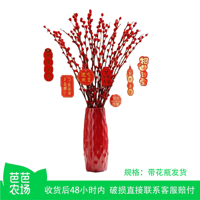 【芭芭农场】银柳真花鲜枝干花摆件室内客厅新年年宵花卉植物新