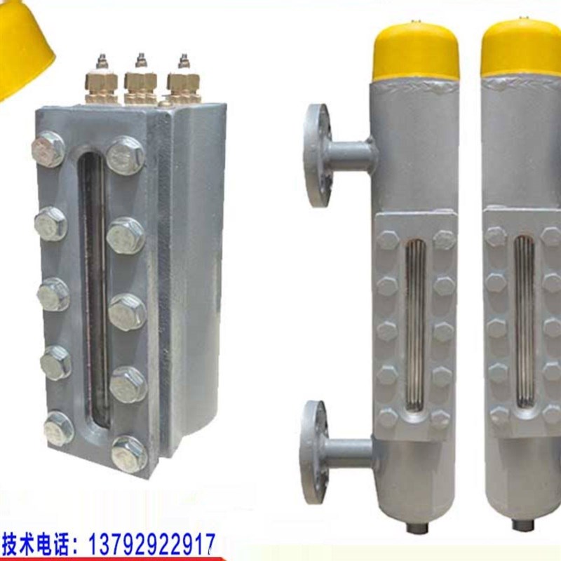 蒸汽发生器锅炉黑白水位计一体式电极式报警器接管式液位计传感器