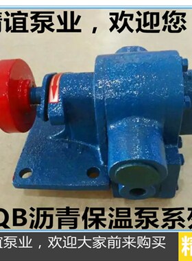 高温电动沥青泵LQB1/2/3/5/-0.36 树脂泵石蜡泵化工泵齿轮油泵头