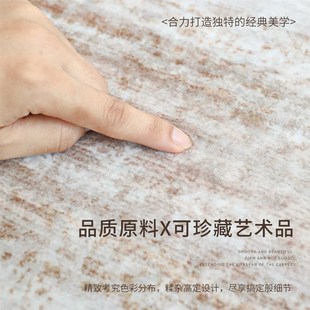 地毯客厅2024新款轻奢高级感卧室衣帽间沙发茶几毯仿羊绒加厚地垫