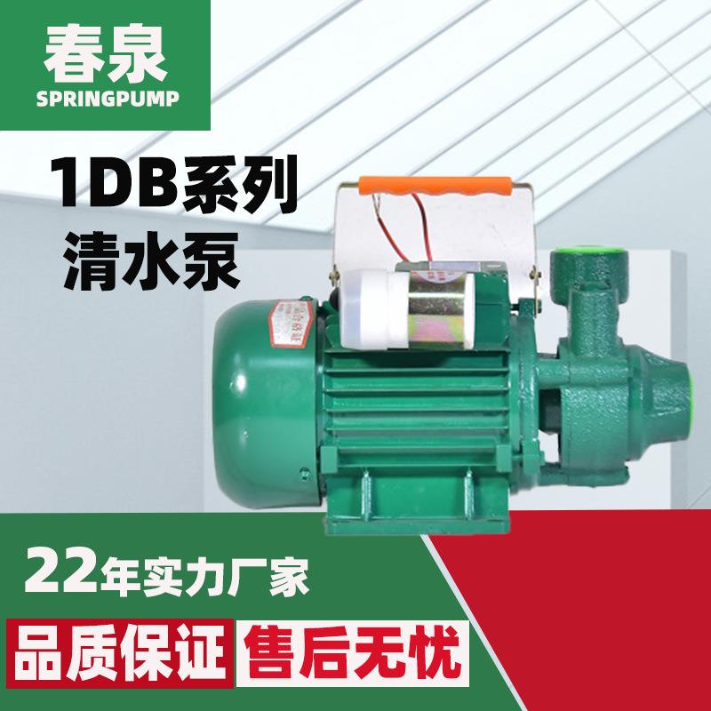 1DB-35/1DB-45大流量水泵高扬程家用小型高压循环抽水全铜抽水机
