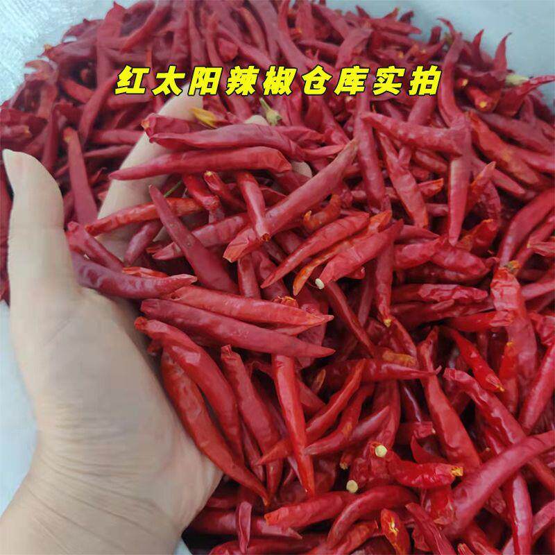 精品红太阳干辣椒牛肉板面专用香辣中辣特香朝天椒红油干辣椒