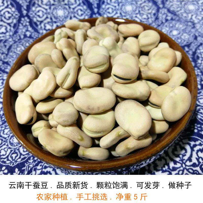 干炒蚕豆炒货干蚕豆干货5斤2026年新货生扁豆杂粮农家炸兰花