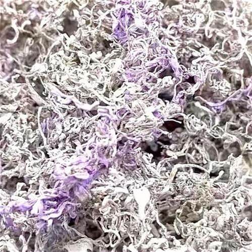 新货张家界正宗莓茶春茶紫藤莓茶龙须牙尖莓茶250克金黄盒装严选