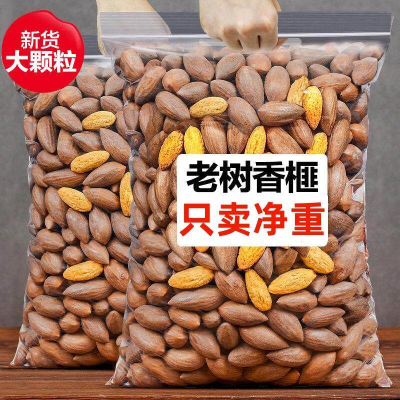 新日期老树香榧新货香榧子
