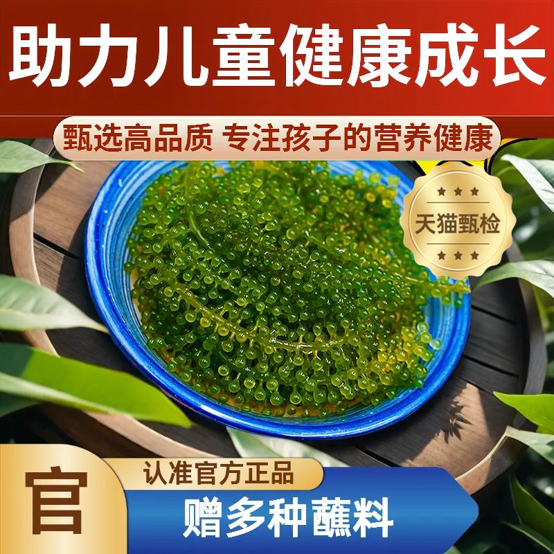 新日期儿童海葡萄即食开胃菜绿色鱼子酱新鲜盐渍旗舰店小孩吃的健