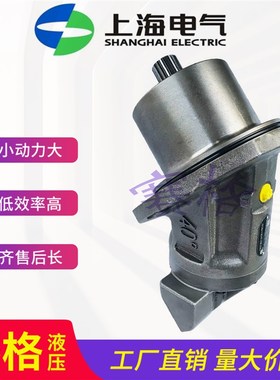 上海电气油泵 A2FE107/6.1WVZL10PT25-39 斜轴式轴向柱塞泵/马达