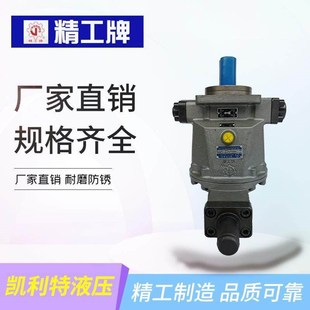 250Y RP高压泵 160 100 启东精工轴向柱塞泵QG10