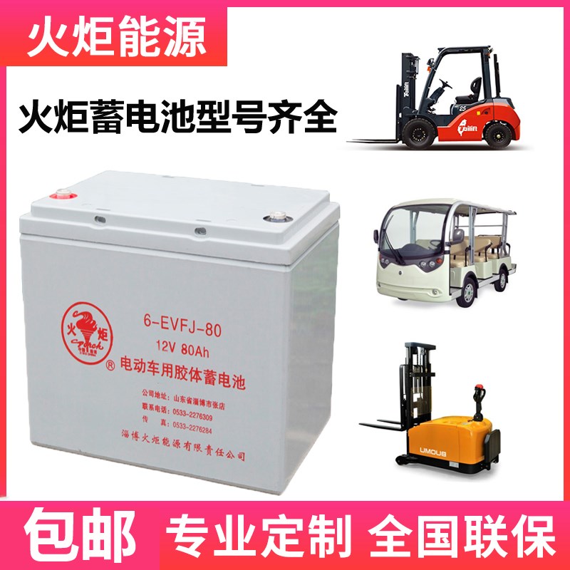 火炬蓄电池免维护铅酸电池电动车电瓶胶体汽车电动6V12V200/150AH