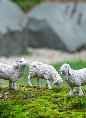 迷你小羊摆件花园盆栽盆景假山造景装饰微景观仿真动物绵羊工艺品