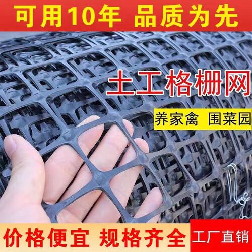 养殖防护网土工格栅网塑料鸡笼鸭笼兔笼养殖网菜园果园圈玉米网