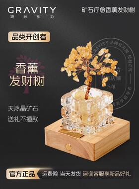 地心引力地心引力天然水晶扩散器石钱树芳香疗法饰品室内持久的家