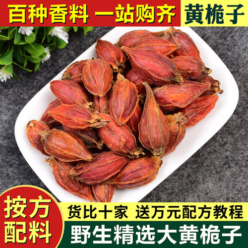 栀子黄栀子红桅子黄果山栀枝子粉