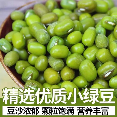 东北绿豆新货农家自产新鲜颗粒饱满皮薄绿小豆汤粥糕发豆芽杂粮