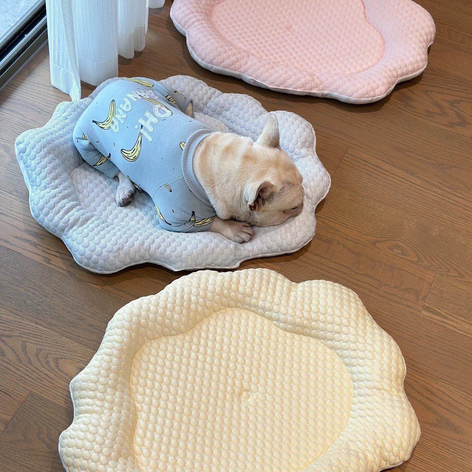 夏季宠物猫狗垫子降温凉爽四季冰垫狗窝猫狗通用中小型犬狗垫笼垫,宠物/宠物食品及用品,猫狗垫子,淘宝优惠券,粉丝福利购,淘宝优惠卷