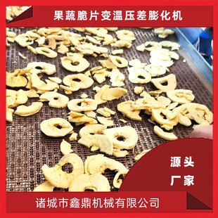 苹果脆片真空压差膨化设备 全自动果蔬脆片真空膨化机