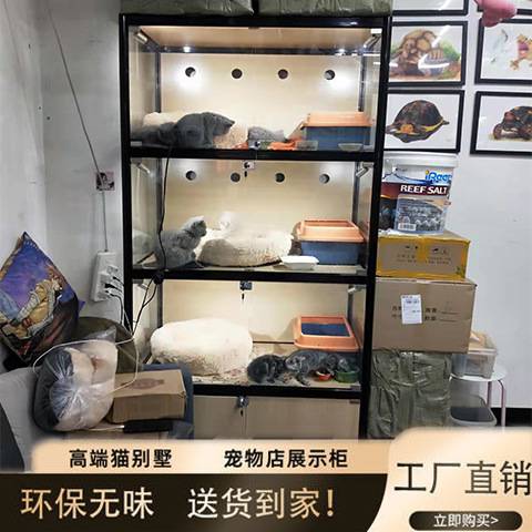 按需制作 宠物货架猫咪狗狗展示柜宠物店柜子商场店铺货柜