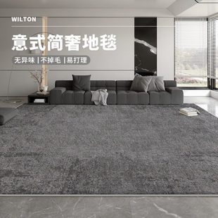 极简2024新款 客厅地毯免洗可擦洗意式 地垫轻奢高级感家用沙发茶几