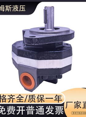 CBFC转向齿轮油泵CBFC10/12/16/18/20/25/32/40/50/63/80高压油泵