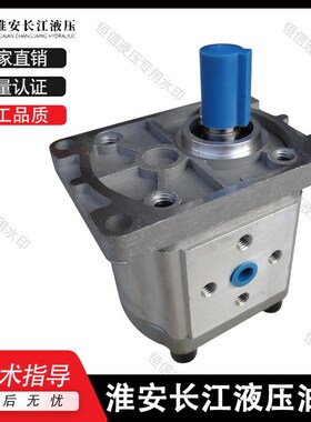 淮安长江齿轮泵CBN-G304/G306/G308/G310/G312/G314/G316/G320 泵