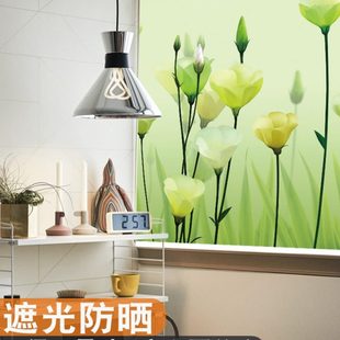 升降客厅卫生间防水遮阳免打孔安装 年终大促全遮光卷帘窗帘手拉式