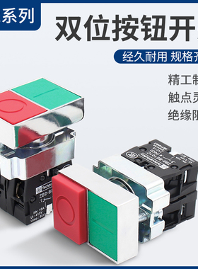 双键按钮 双位按钮 XB2-BL8325 BL8425 双平头按钮