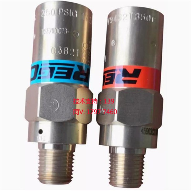REGO安全阀美国力高低温杜瓦瓶LNG泄压阀PRV9432TP/PRV9432F系列
