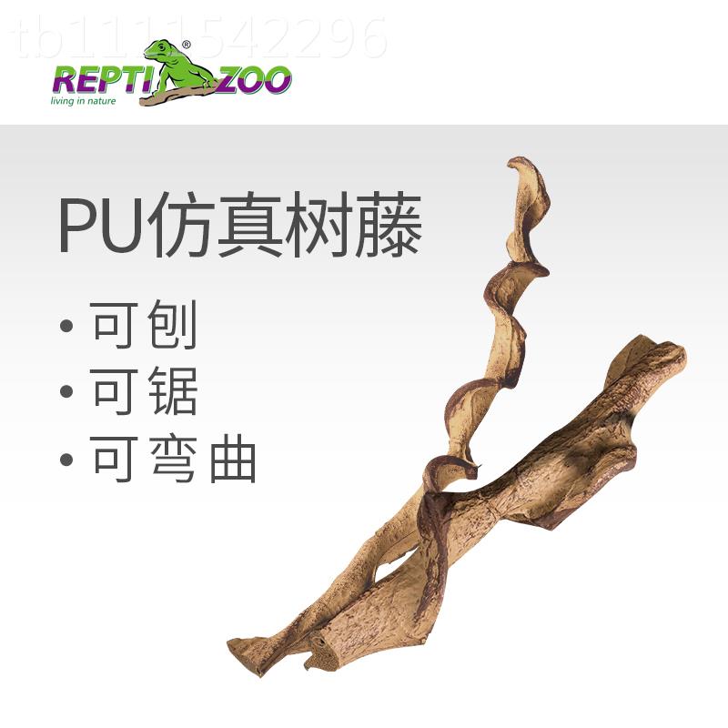 爬l蛙l爬虫攀条树藤变色藤龙绿鬣守宫GFL睫角蜘蜴树爬宠造景