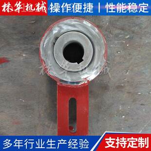 供应逆止器 提升机用止止逆装N置 逆器量大从优G低速滚柱ZQ50止逆