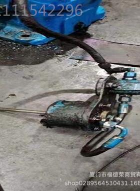 DBE1A齿轮泵P1AAN0025FL2K0TWK 0N