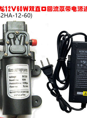 直流微小型220V电动抽水泵 60W自吸隔膜泵 工程塑料制压泵适用洗
