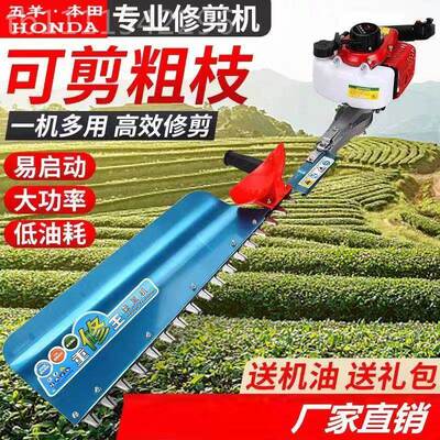 汽油篱机茶绿重树修剪园林绿化粗枝剪背负机式修王剪AKG茶机