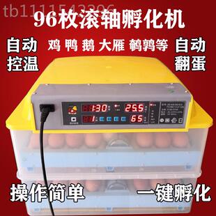 j8的孵化鸡箱鸡的抱电炮EMP活小鸡孵化机苗器机小子孵卵g机3