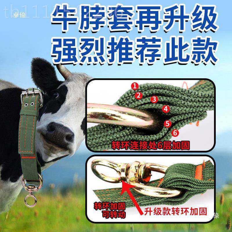 栓牛用绳兽加厚栓RCL牛脖套养殖项圈牛用品子全牵牛牛羊牛脖子绳