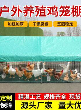 户外鸡用鸡笼子养鸡鸭鸽笼家禽大型孔RHC雀舍篷遮雨鸡搭建家养殖