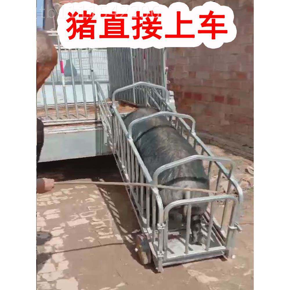 【销上万笼】量装猪笼子猪场无品牌/用猪笼抓猪运笼拉母猪用称猪