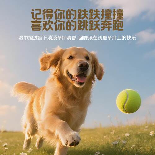 德佑宠物湿巾猫咪狗狗专用清洁湿巾纸免洗擦全身手脚除臭A