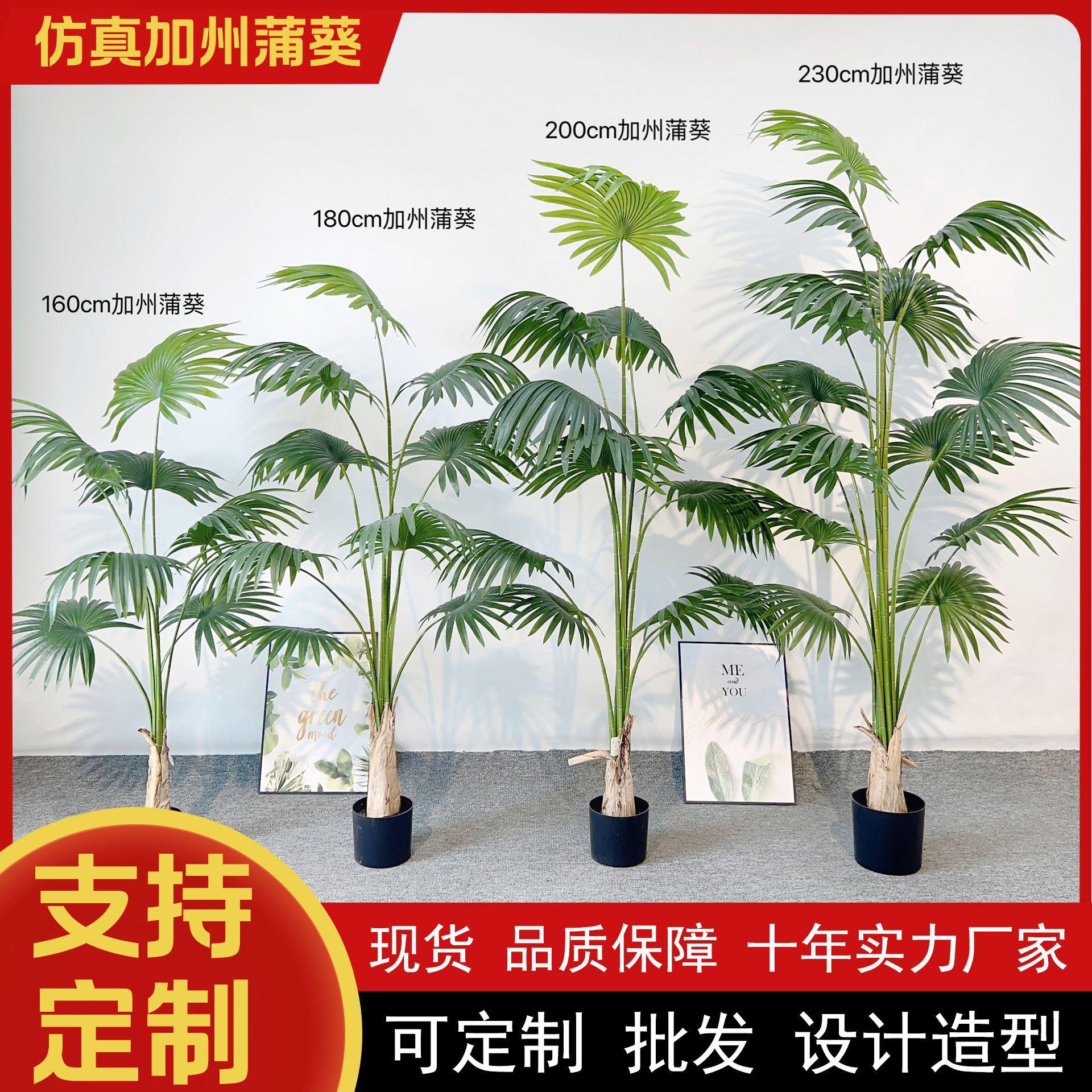 仿真蒲葵盆栽大型植物落地盆景室内装饰扇葵仿真加州蒲葵摆件