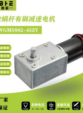 5882-45直流减速电机12V24大扭矩涡轮蜗杆自锁马达低速调速正反转
