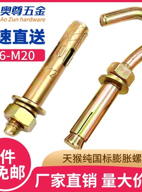 M6-M20铁拉爆膨胀螺丝/钩子爆炸螺栓彩锌内外膨胀螺钉加长膨胀管