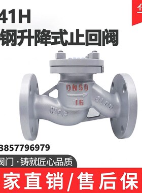 H41H-16C铸钢升降式止回阀碳钢单向阀逆止阀WCBdn405080100150