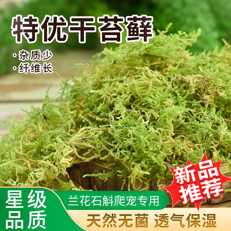 水苔蝴蝶兰专用干苔藓种植营养土石斛兰花乌龟爬宠垫材纯天然培基