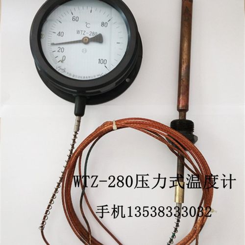 雷尔达压力式温度计WTZ/WTQ-280 0-100度锅炉工业用指针温度表