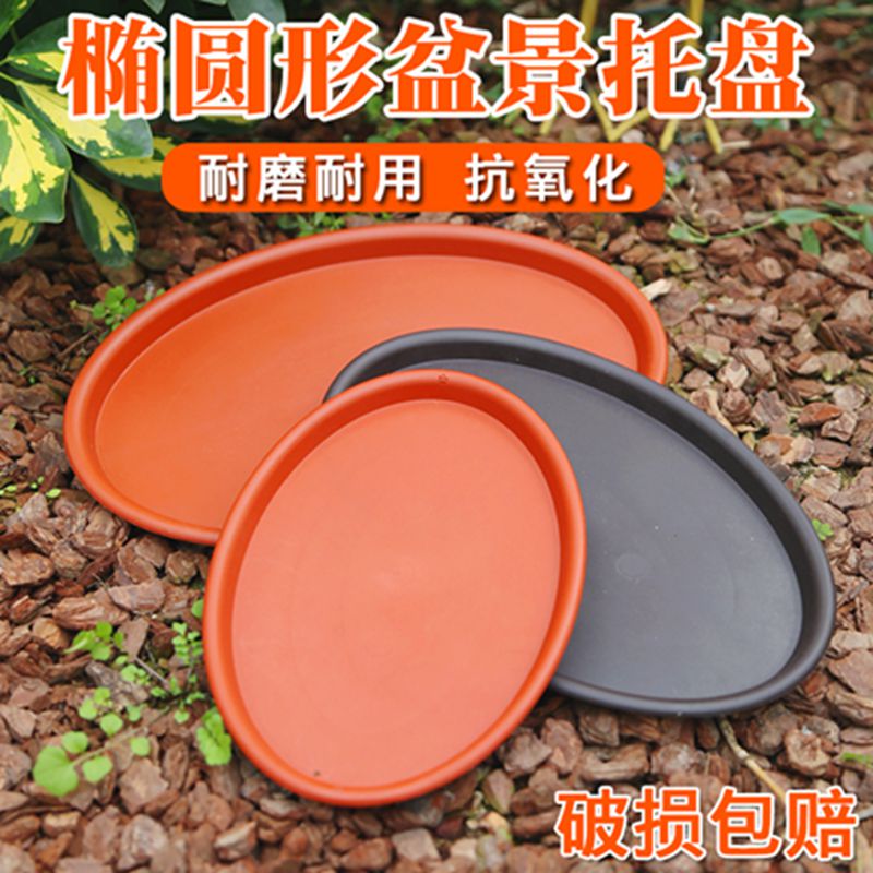 椭圆形花盆托盘加厚树脂盆栽盆景花盆垫塑料深接水盘花盆底座托盘