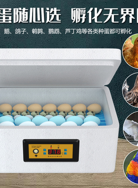 孵化器小型家用水床孵化器全自动智能鸭鹅鸽子芦丁鸡孵蛋器家用型