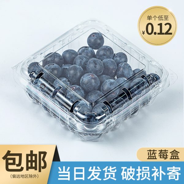 一次性水果盒子带盖透明塑料蓝莓盒125克包装盒一斤装水果包装盒