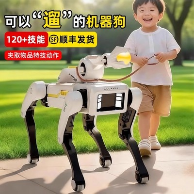 可以遛的智能对话机器狗