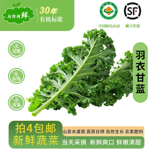 顺丰冷链新鲜蔬菜羽衣甘蓝现摘现发有机标准种植蔬菜沙拉榨汁健身
