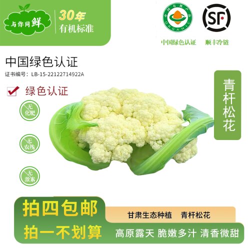 （顺丰冷链）有机新鲜蔬菜菜花现摘现发高原夏菜青杆松花蔬菜辅食