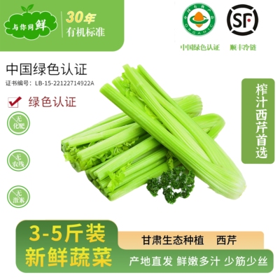 （顺丰冷链）新鲜蔬菜有机西芹现摘现发自种蔬菜高原夏菜西芹汁